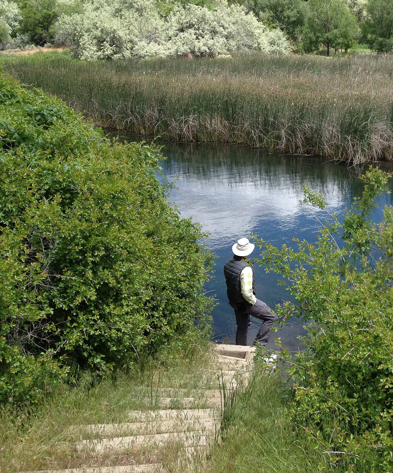 Billingsley Creek Wildlife Management Area